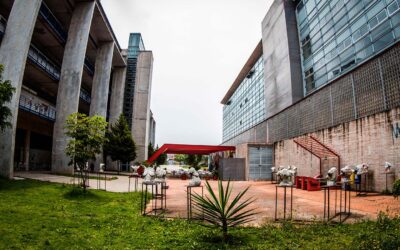 La Universidad Autónoma de la Ciudad de México Avanza en la Modernización de su Sistema Bibliotecario con Orex Digital